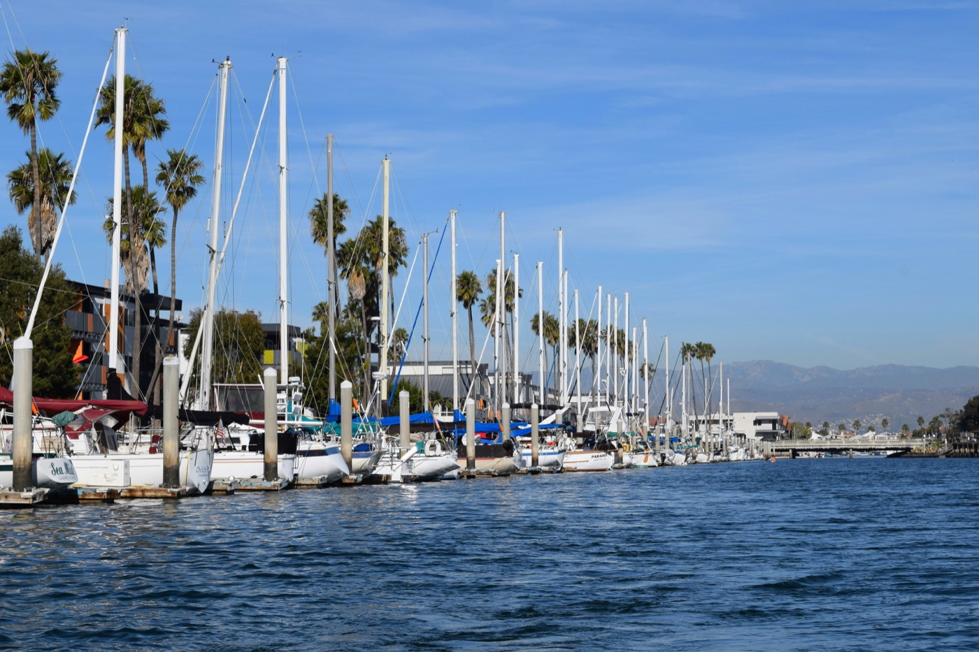 Port Hueneme Masonry